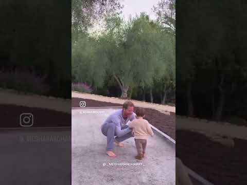 PRINCE HARRY PLAYING WITH PRINCE ARCHIE #meghanmarkle #princeharry #royal #harryandmeghan #shorts
