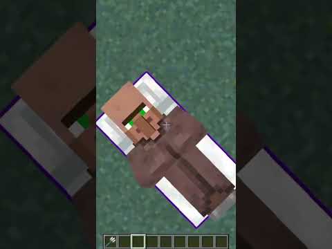 Ultimate Minecraft Villager Survival Challenge