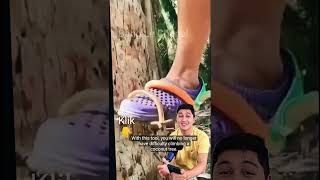 Download lagu coconut tree climbing equipment mp3 Download lagu coconut tree climbing equipment mp3