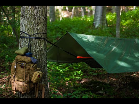 SONIDO de GRILLOS para DORMIR PROFUNDAMENTE y MEDITAR - Sonido Relajante ASMR DEEP FOCUS SPLEEP