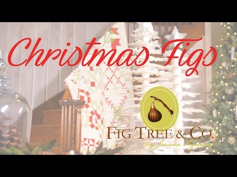 download lagu mp3 mp4 Fig Book, download lagu Fig Book gratis, unduh video klip Fig Book
