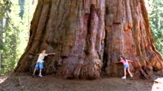 The Guess Who-  &quot;Share The Land&quot;