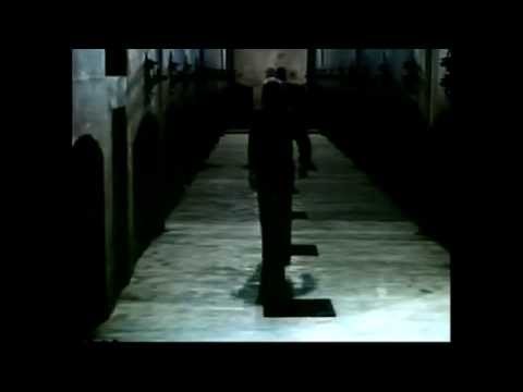 D1 "Severed Sanctions" Paul Birken - Surfin' Superior Volume 2 Promo