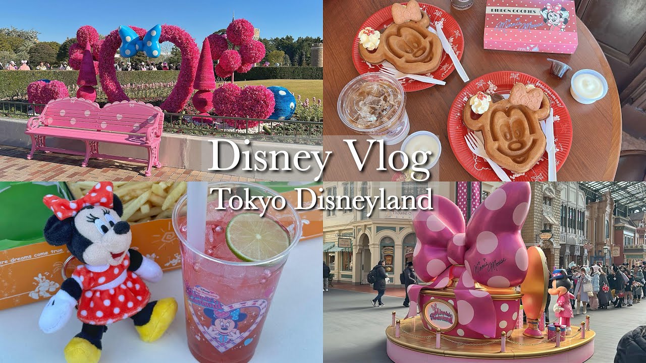 ［Disney vlog］のんびり楽しむ息子の誕生日ディズニー🏰
