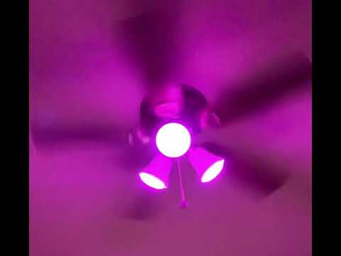 Feit Electric Smart Light Bulbs with RGB Color Changing and Tunable White, 2.4Ghz WiFi Light Bulbs,