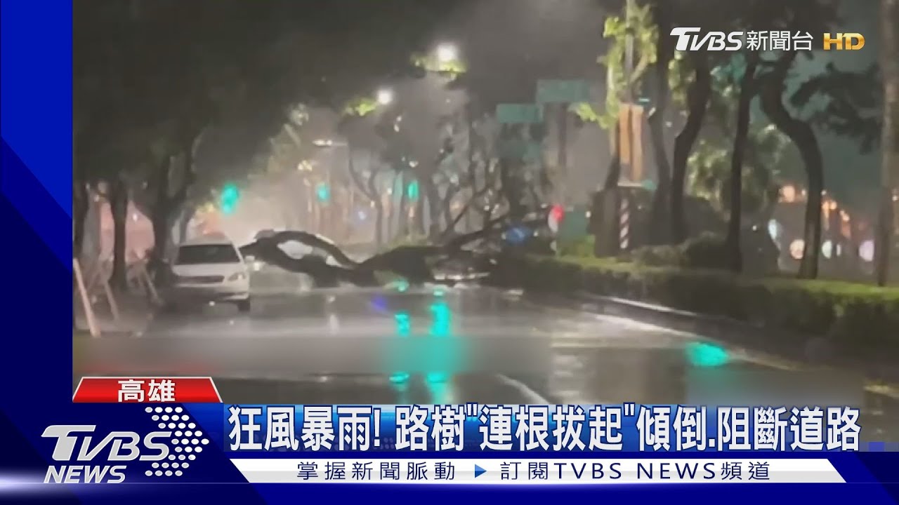 狂風暴雨! 路樹「連根拔起」傾倒、阻斷道路