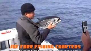 preview picture of video 'Portland Bluefin Tuna Charter - Tuna catch and release'