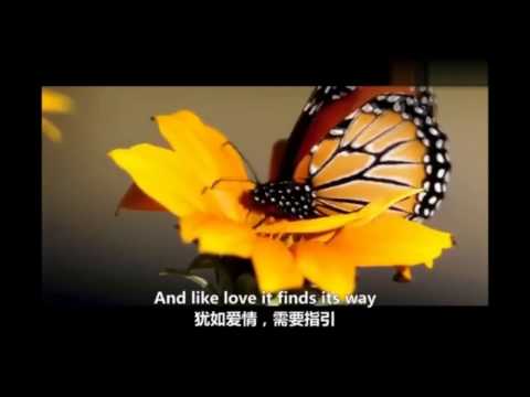 Sofia Kallgren 《Smells of Roses》1080P