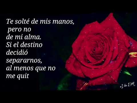 Te solté, pero nunca dejé de amarte 