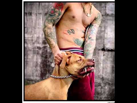 so9rat                  Mo3ta9al 20132