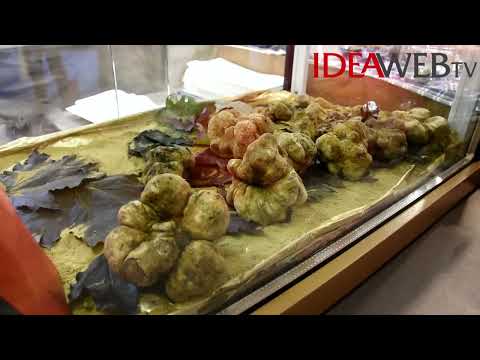 Mercato Mondiale del Tartufo Bianco d'Alba - secondo weekend