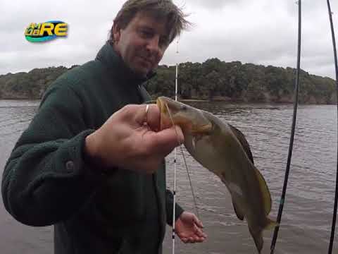 Pesca deportiva Río San Juan costa norte Establecimiento San Jerónimo, Colonia Uruguay