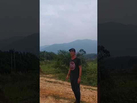 #miming #hampa #toki