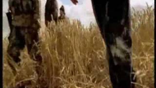 A Place Where the Dead Dont Bother Me - The Neologist