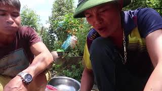 preview picture of video 'Món ăn pịa nhím của người thái'