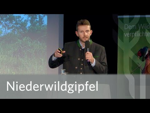 Leopold Obermair: Chance für das Niederwild?
