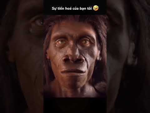 MANUSIA PURBA ‼️ EVOLUSI #evolusi #asal #manusia #shorts