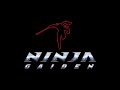 Pyramid Ninja Gaiden 2004 Music Extended HD