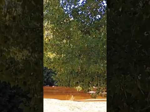 Río Panaholma, Cura Brochero, Traslasierras, Córdoba, Argentina.#curabrochero