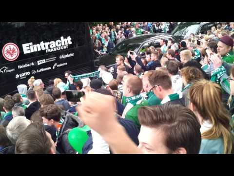 #greenwhitewonderwall / Frankfurt´s grüne Hölle
