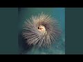 White Ashes - Peter Gabriel - Topic White Ashes