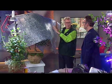 Pflanzen überwintern