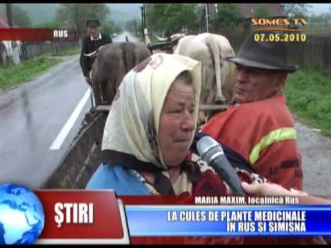 09_LaCulesDePlanteMedicinaleInRusSiSimisna.mp4