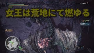 【MHW】普通にモンハン遊んでいくよPart.14