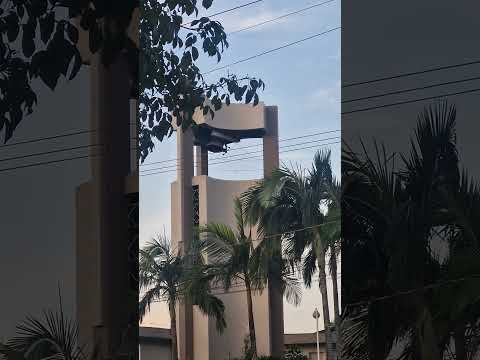 Sino da cidade de Coronel Freitas SC