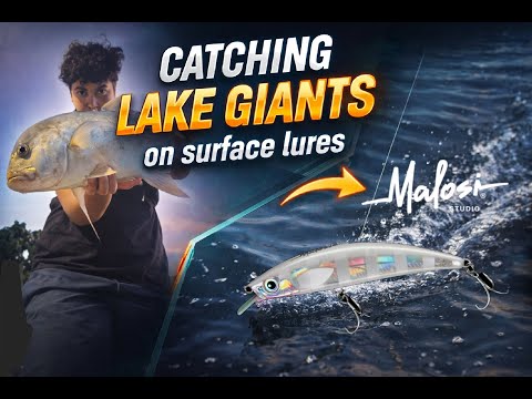 EPISODE 1. CATCHING LAKE GIANTS ON SURFACE LURES (MALOSI STUDIO)