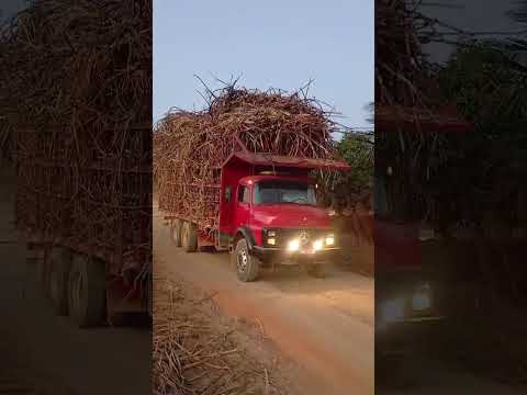 engenho pombal Vicência Pernambuco