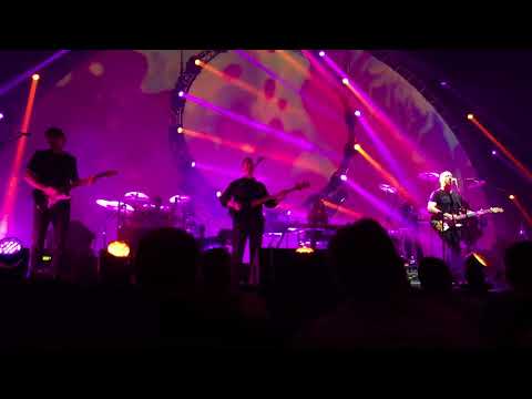 Pigs Three Different Ones by Brit Floyd