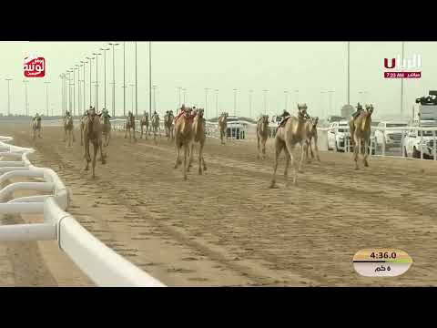 ش 12 (رعد) لـ هجن الشحانية 9:00:00  ، مهرجان ختامي الشحانية 2026/04/24 إيذاع