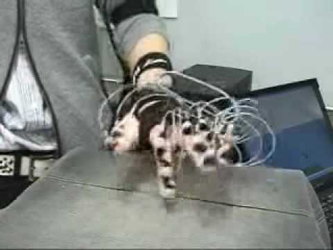 mikio_original_cutting.wmv