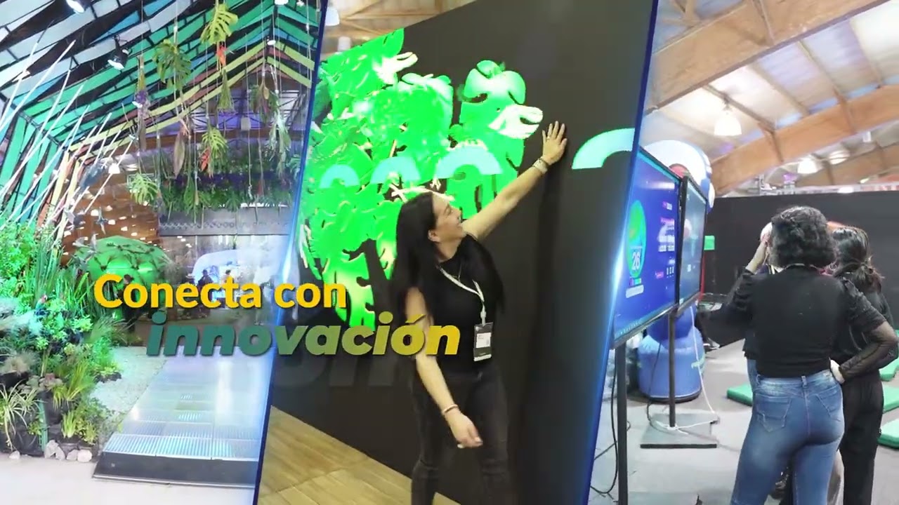 Previa videos FIMA