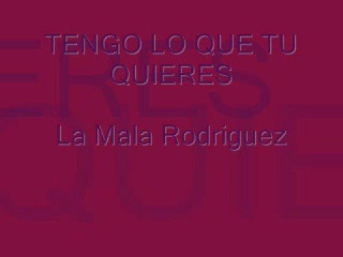 Tengo lo que tu quieres