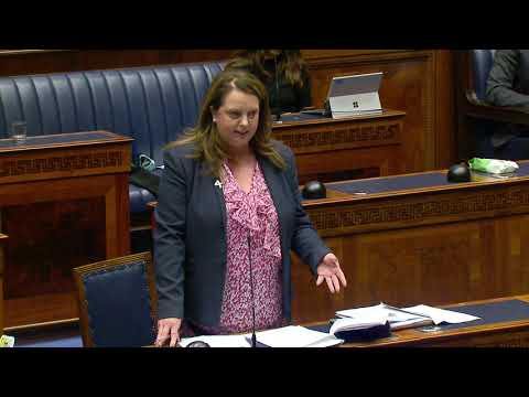 Consideration Stage: Domestic Abuse and Family Proceedings Bill: Part 2