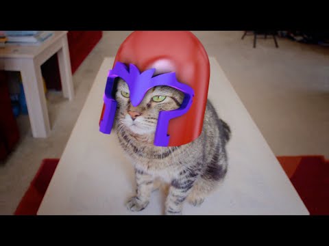 X-Men: Magneto Cat