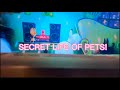Secret Life Of Pets Full Ride & Walkthrough Experience - Universal Studios Hollywood