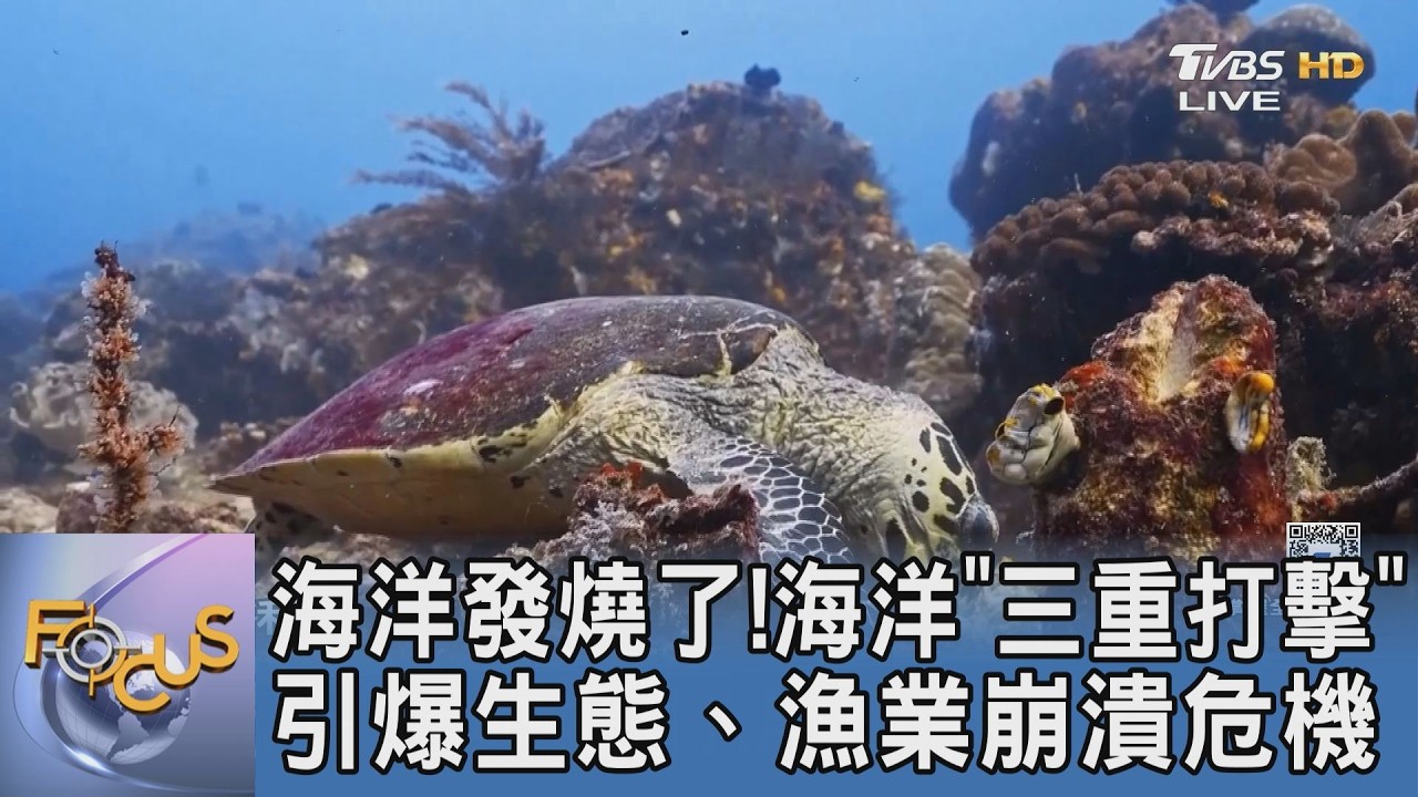 聖嬰現象只是前菜?全球海溫衝破紀錄引爆「海洋三重打擊」