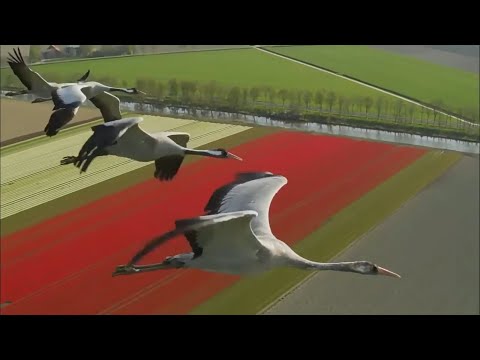 Bird's-eye views from around the world 【HD】