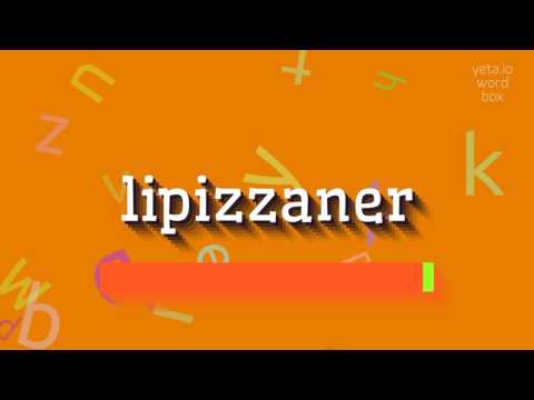 , title : 'LIPIZZANER - HOW TO PRONOUNCE LIPIZZANER? #lipizzaner'