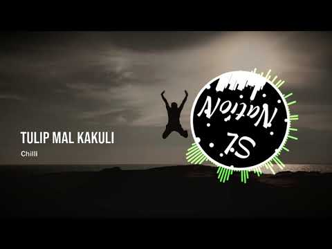 Tulip Mal Kakuli - Chille