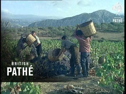 Out Takes / Cuts From Cp 421 - Reel 2 Of 2 - Sardinia (1963)