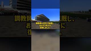 なぜ単勝239倍でデビューした馬がジャパンカップを勝ち名種牡馬になれたのか スクリーンヒーロー #Shorts