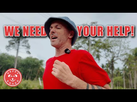 Insane 30 Day Marathon Challenge for Street Dogs in Thailand