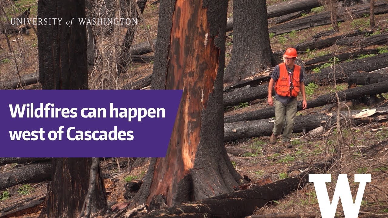 Wildfires west of the Cascade mountains: Rare, but large and severe