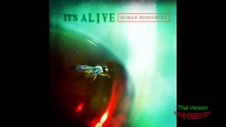 It's Alive – The Bottom