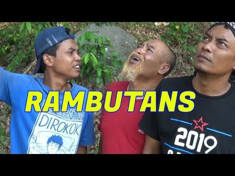 wagu-ndeso-rambutans
