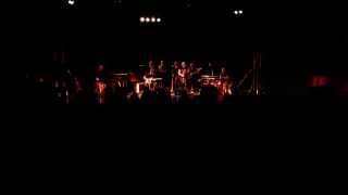 Nik Bärtsch's Ronin Rhythm Clan - Live at Skopje Jazz Festival 2014